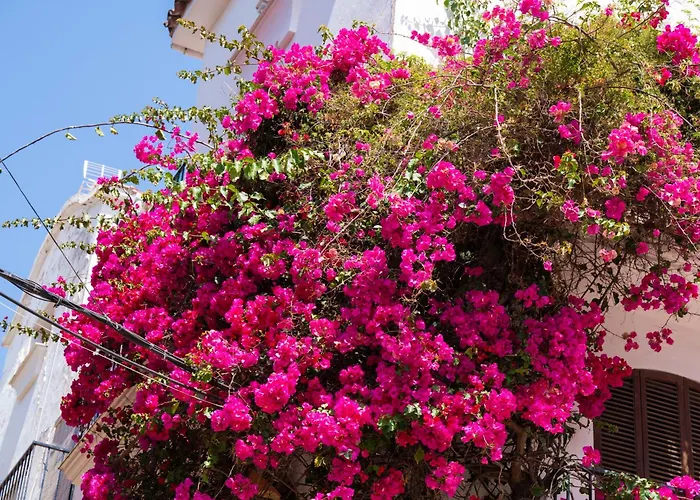 Rincon Mediterraneo 522 Apartment Marbella
